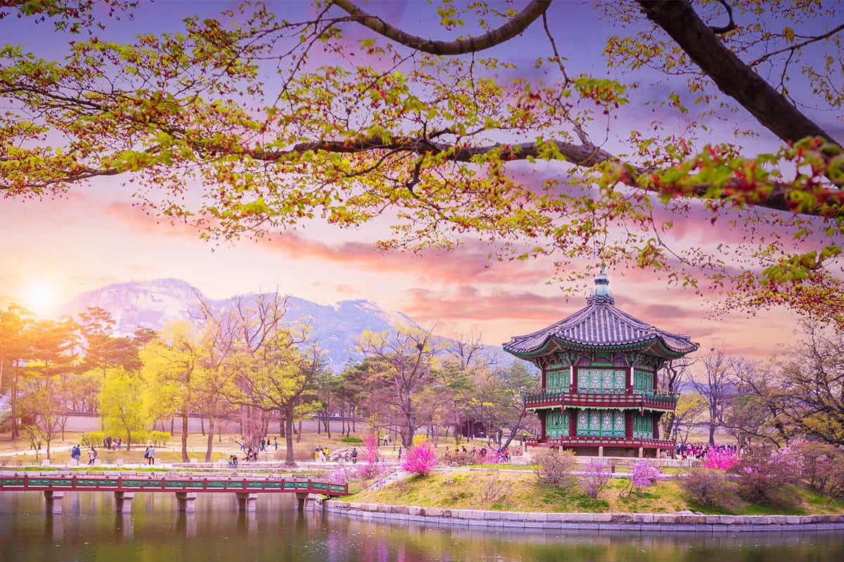 서울 경복궁 서울 경복궁