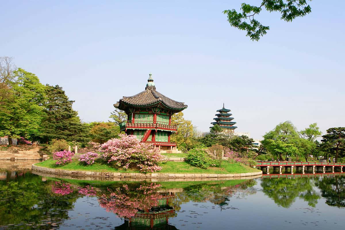 서울 경복궁 봄 서울 경복궁 봄