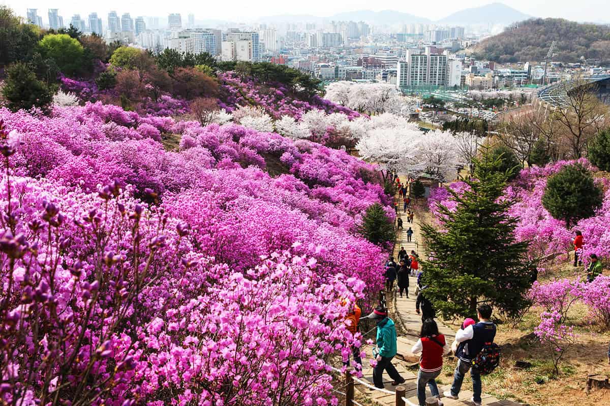 부천 원미공원 전경