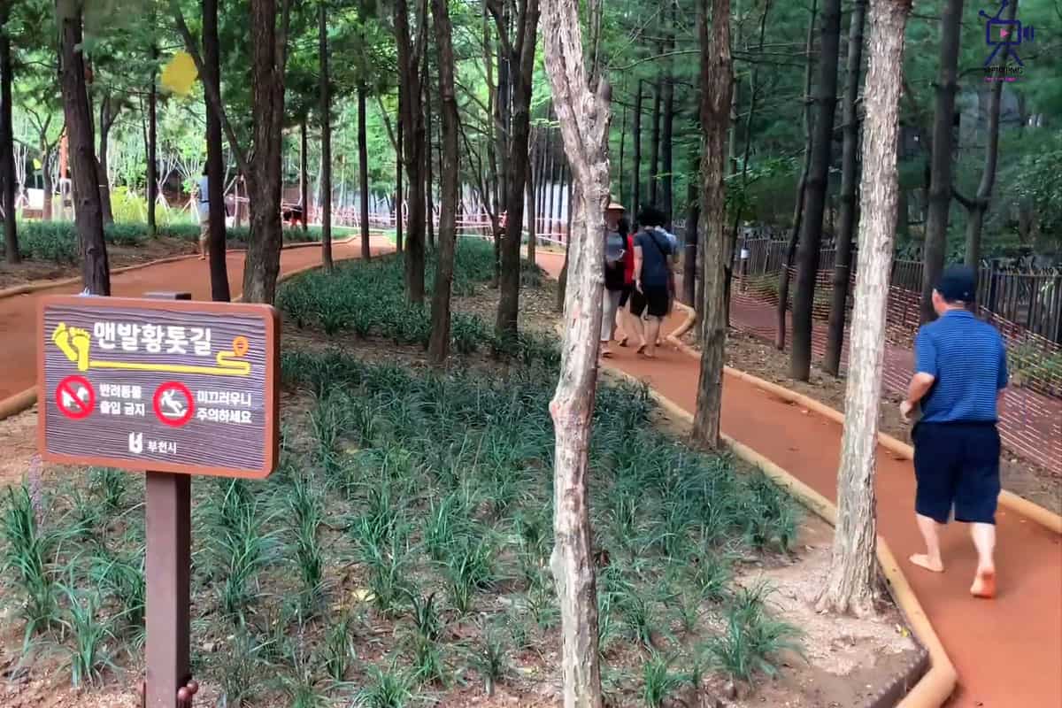 소새울공원 맨발황톳길