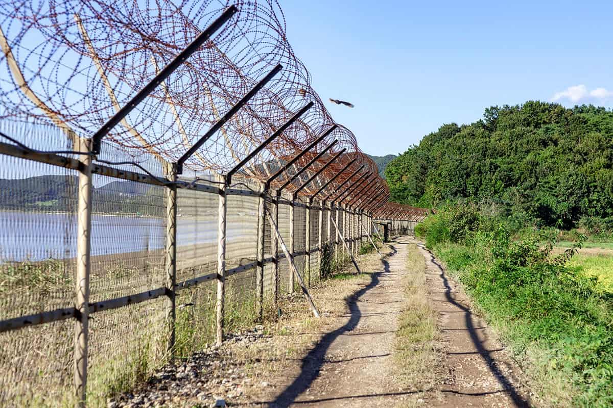 DMZ 평화의 길 DMZ 평화의 길