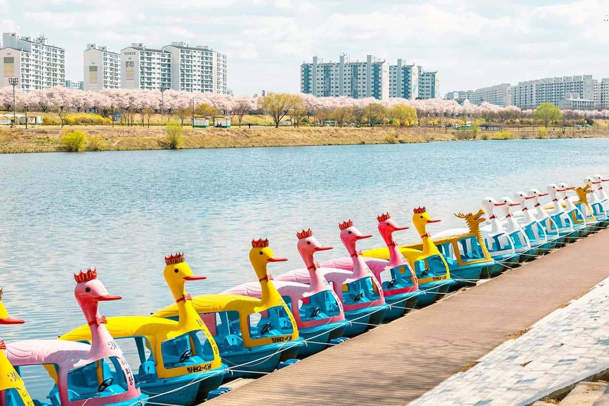 대구 동촌유원지