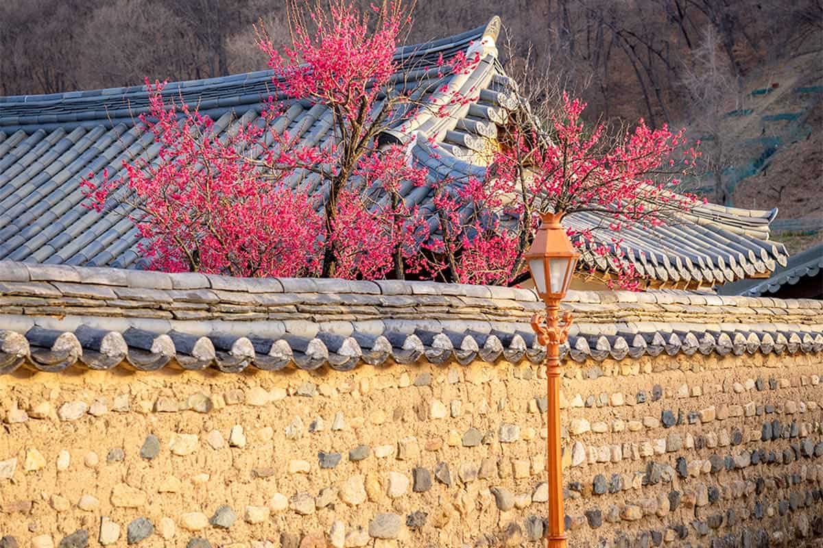 대구 남평문씨본리세거지