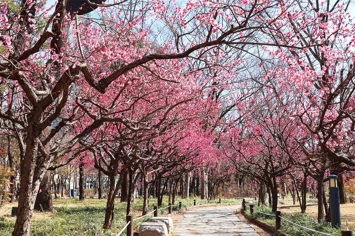 대구 국채보상운동기념공원