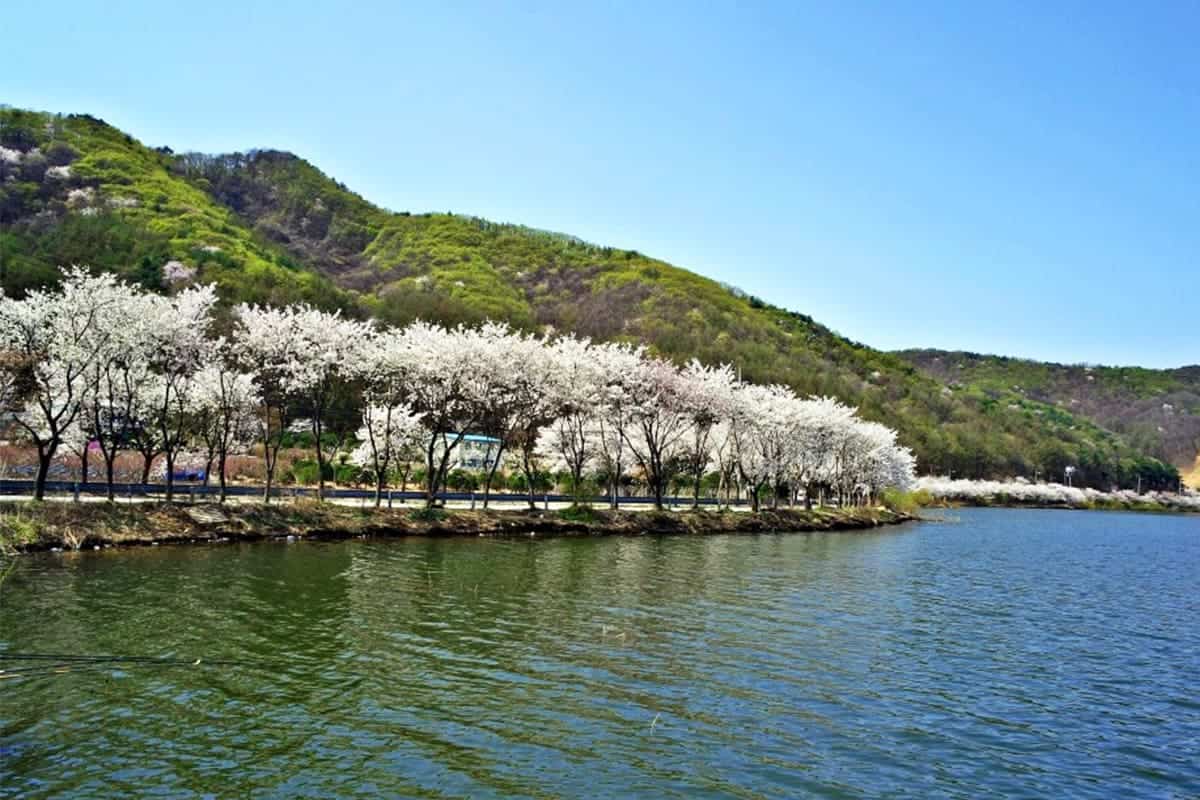 음성 삼형제 저수지 무극저수지