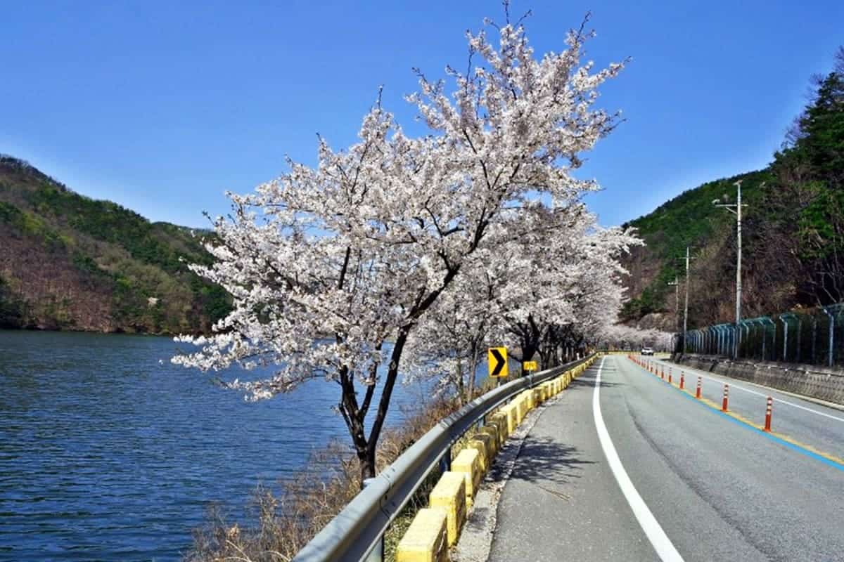 음성 삼형제 저수지 무극저수지