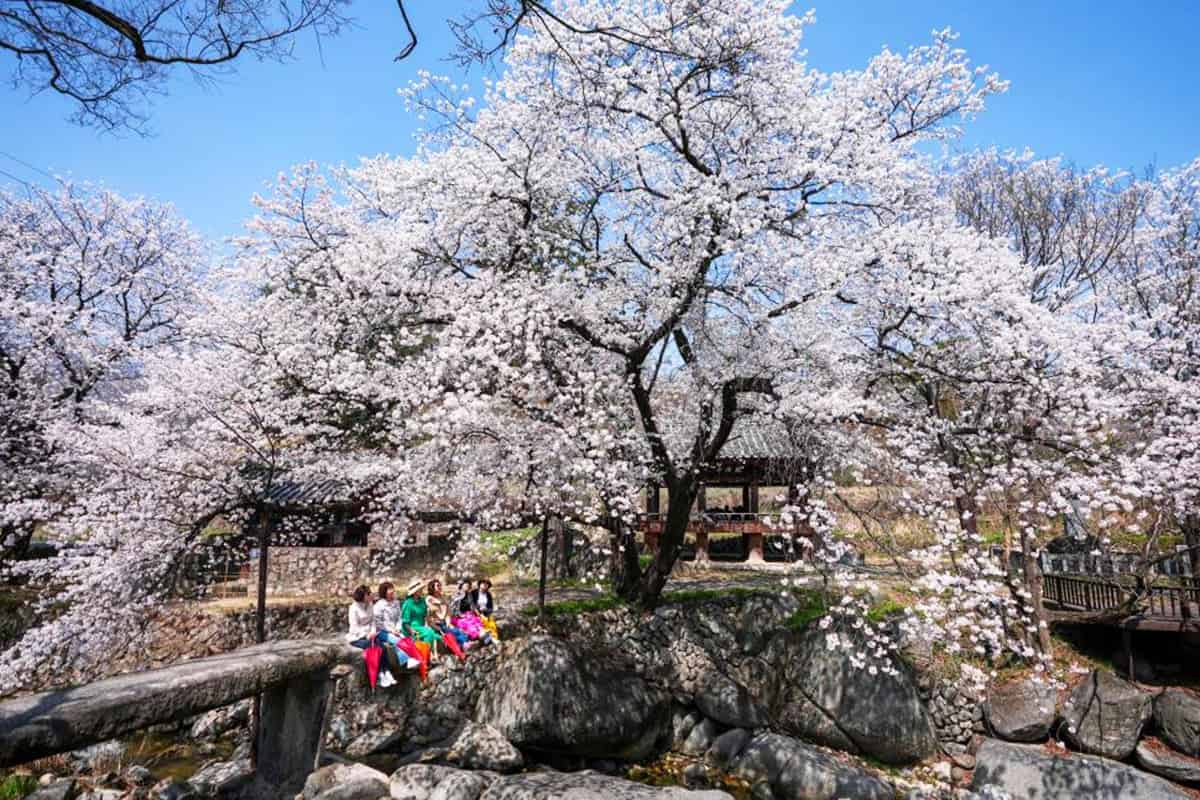거창 용원사 거창 용원사