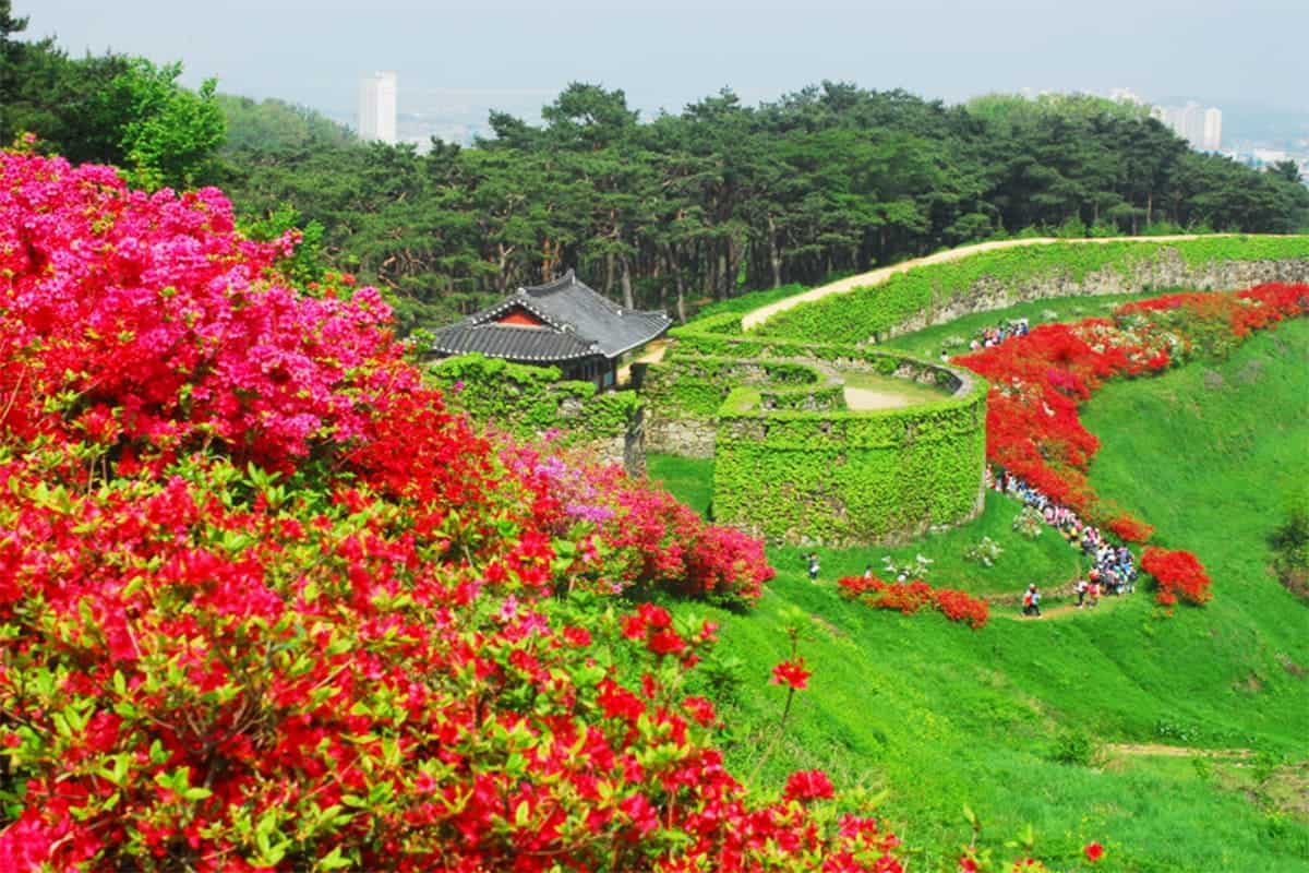 고창읍성 고창읍성