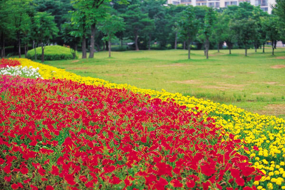 고양 일산호수공원 고양 일산호수공원