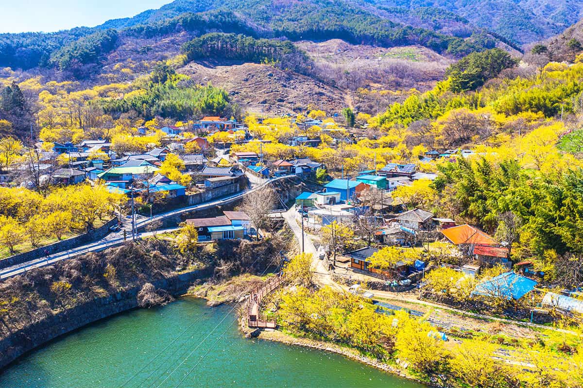 구례 산수유마을 구례 산수유마을