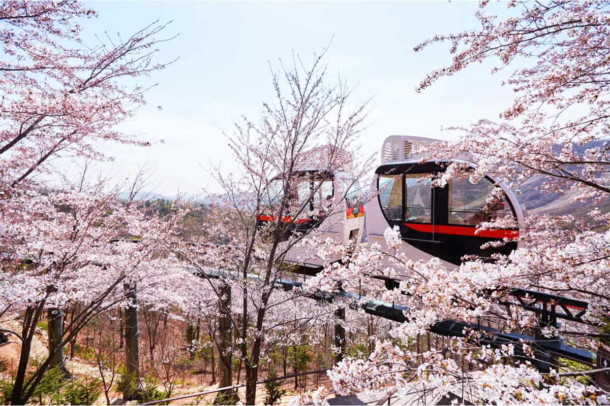 광주 화담숲 모노레일