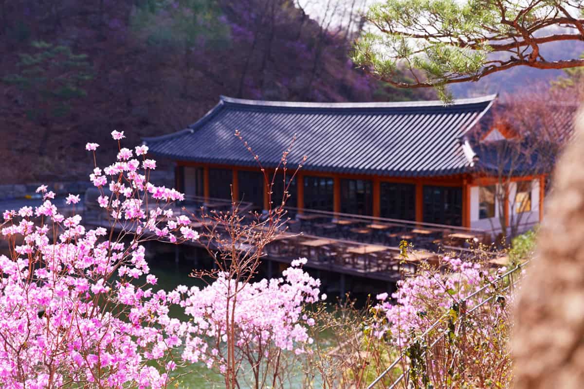 광주 화담숲