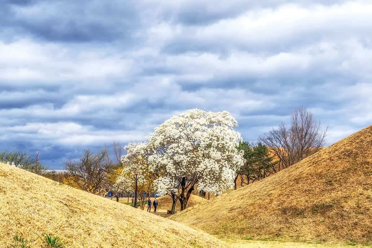 경주 대릉원