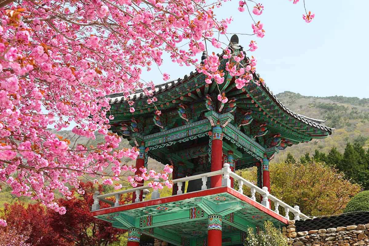 사천 청룡사 사천 청룡사
