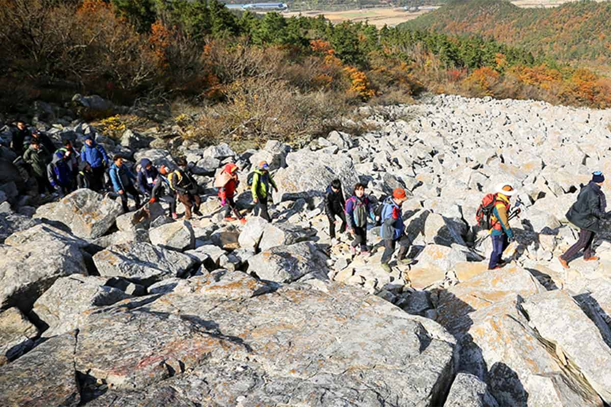 해남 달마고도 걷기 행사 해남 달마고도 걷기 행사