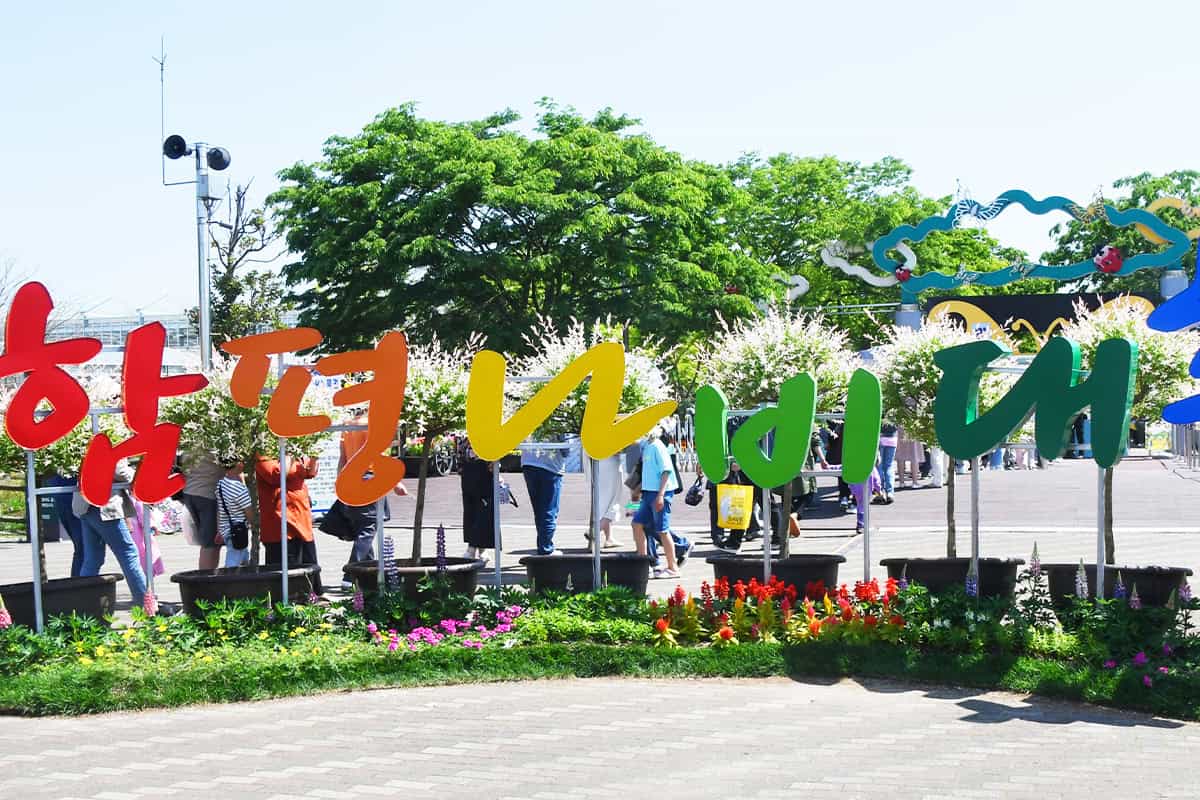 함평 나비대축제
