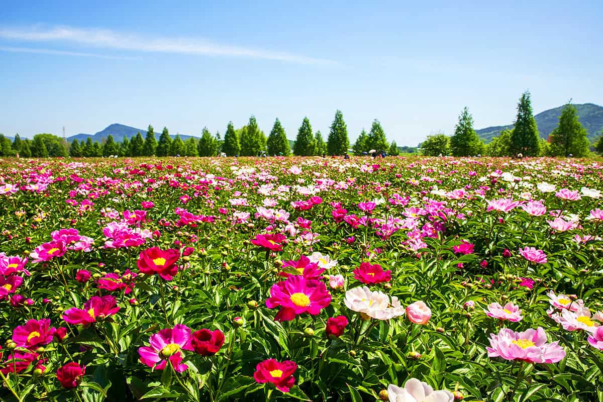 합천 핫들생태공원 합천 핫들생태공원