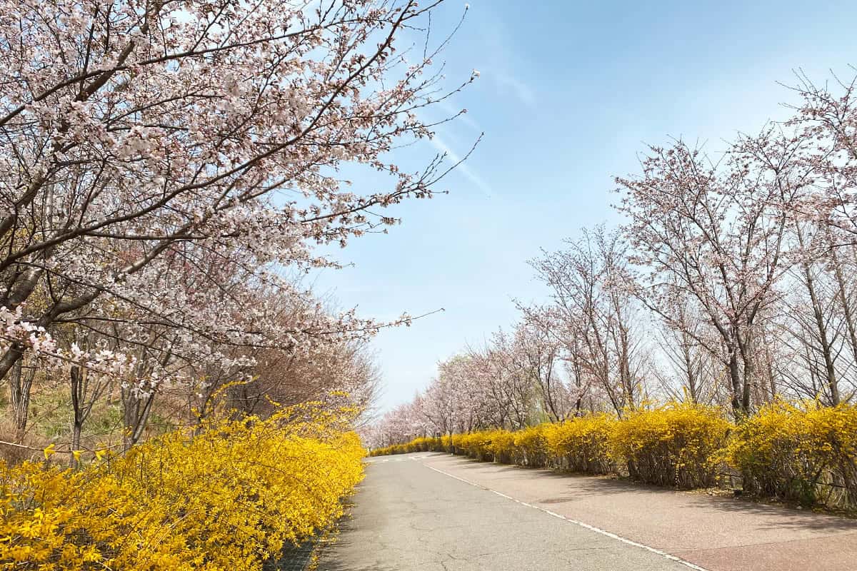 서울 월드컵공원
