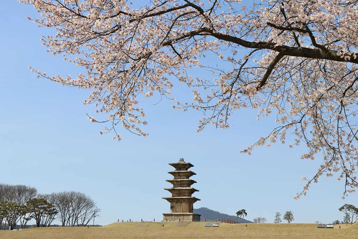 익산 왕궁리유적지 익산 왕궁리유적지