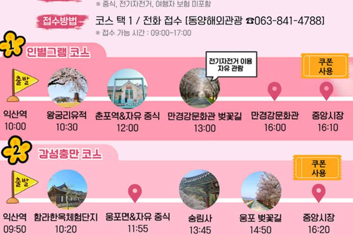 익산 벚꽃투어 코스 익산 벚꽃투어 코스
