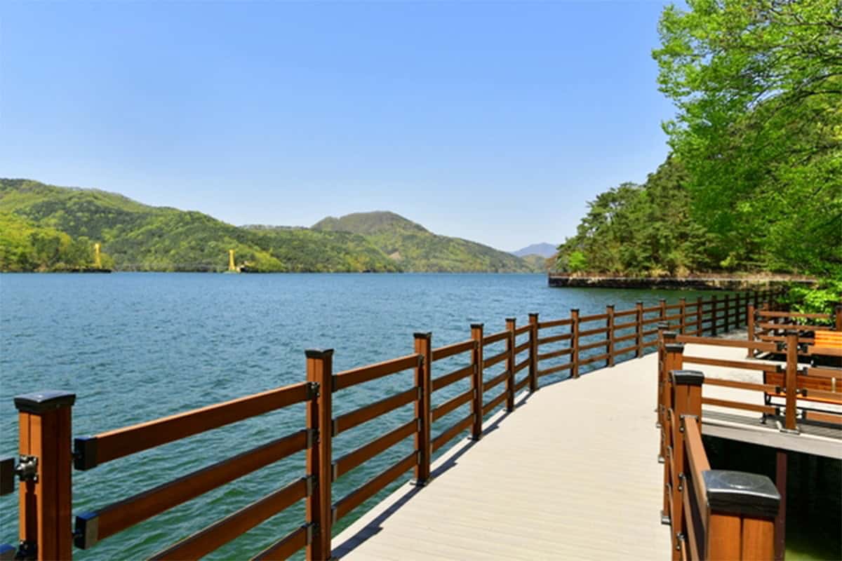 장성호 수변길 장성호 수변길