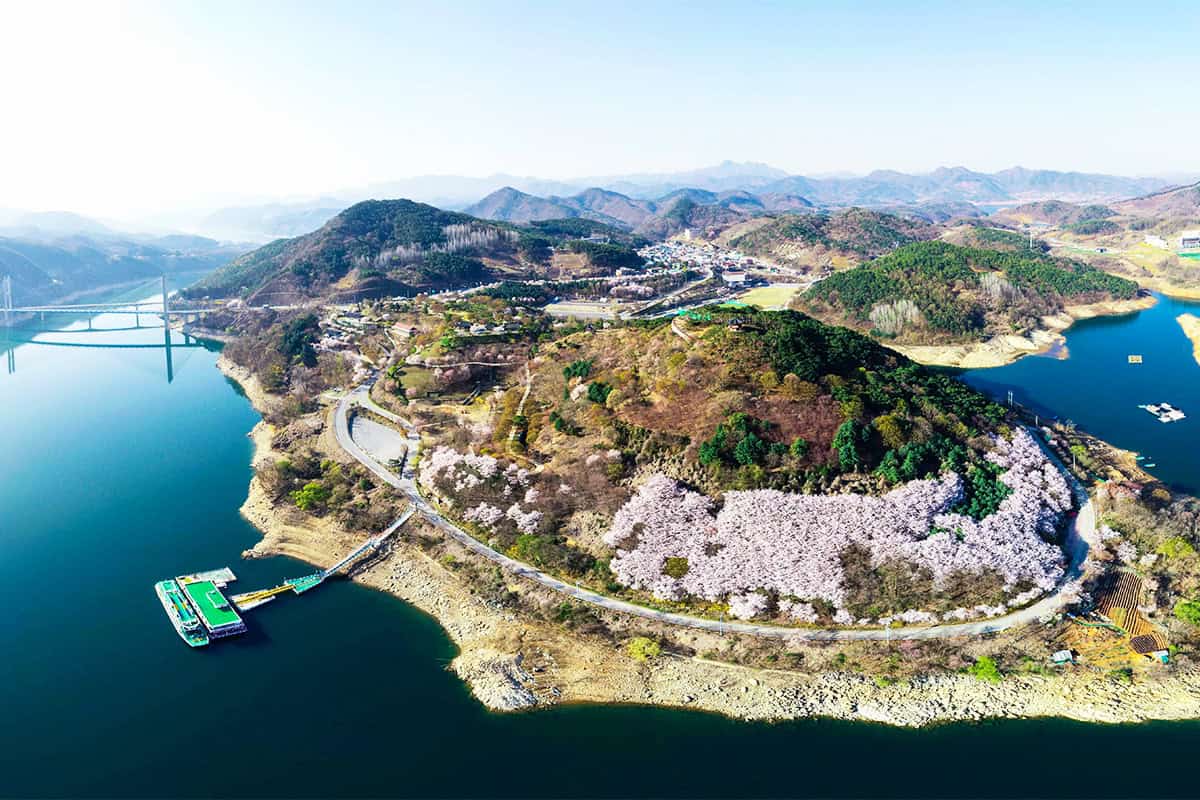 제천 청풍호 벚꽃 제천 청풍호 벚꽃
