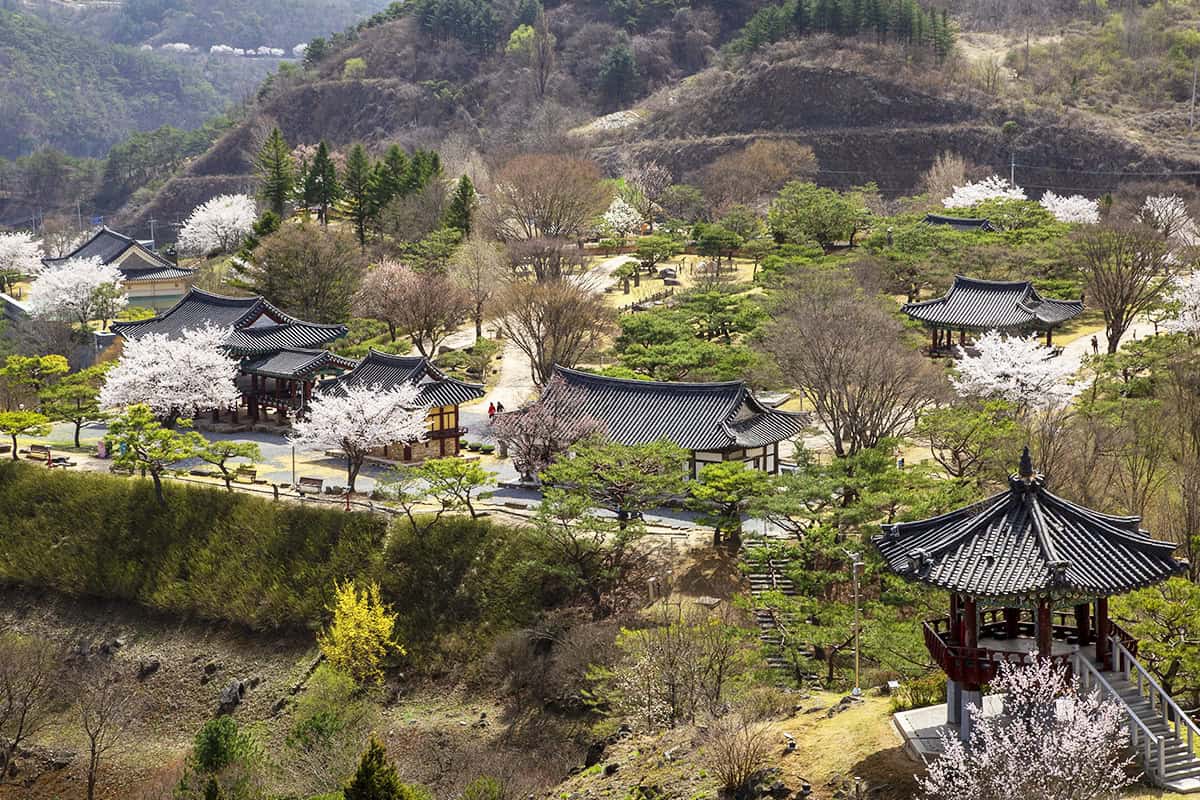제천 문화유산단지 제천 문화유산단지