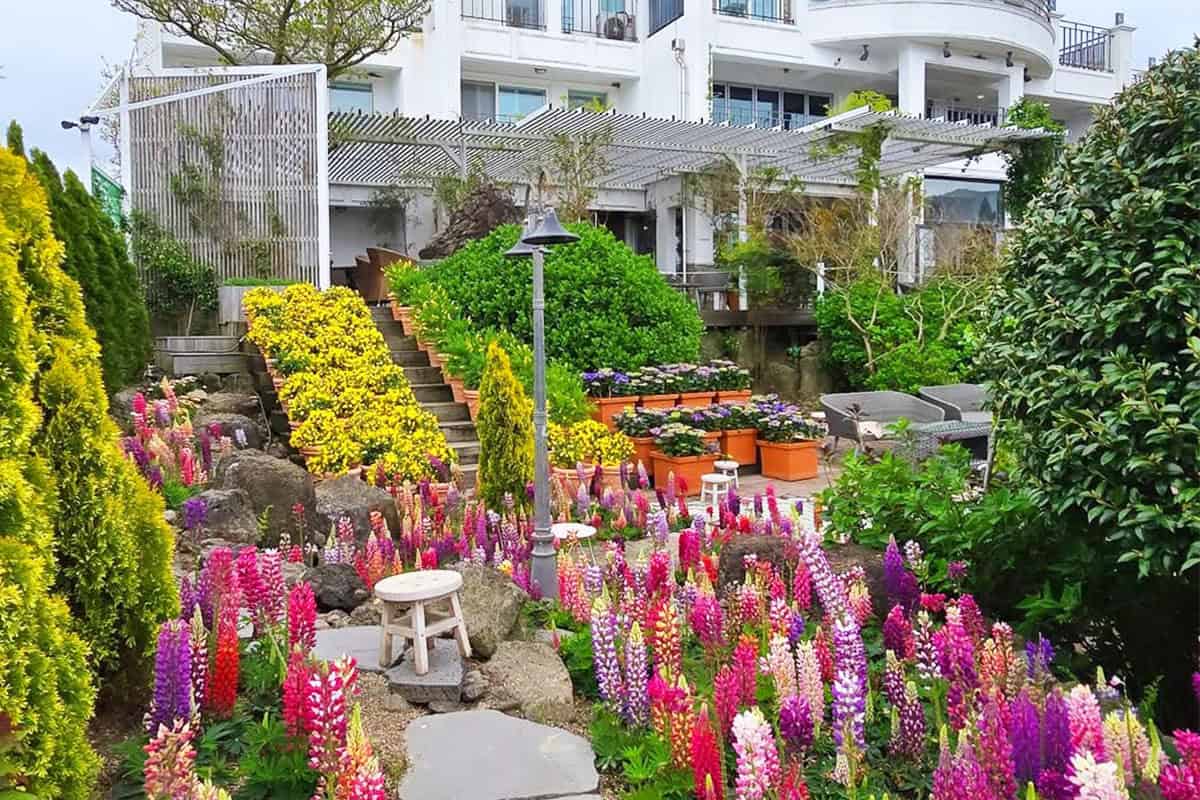 제주 마노르블랑 루피너스 정원 제주 마노르블랑 루피너스 정원