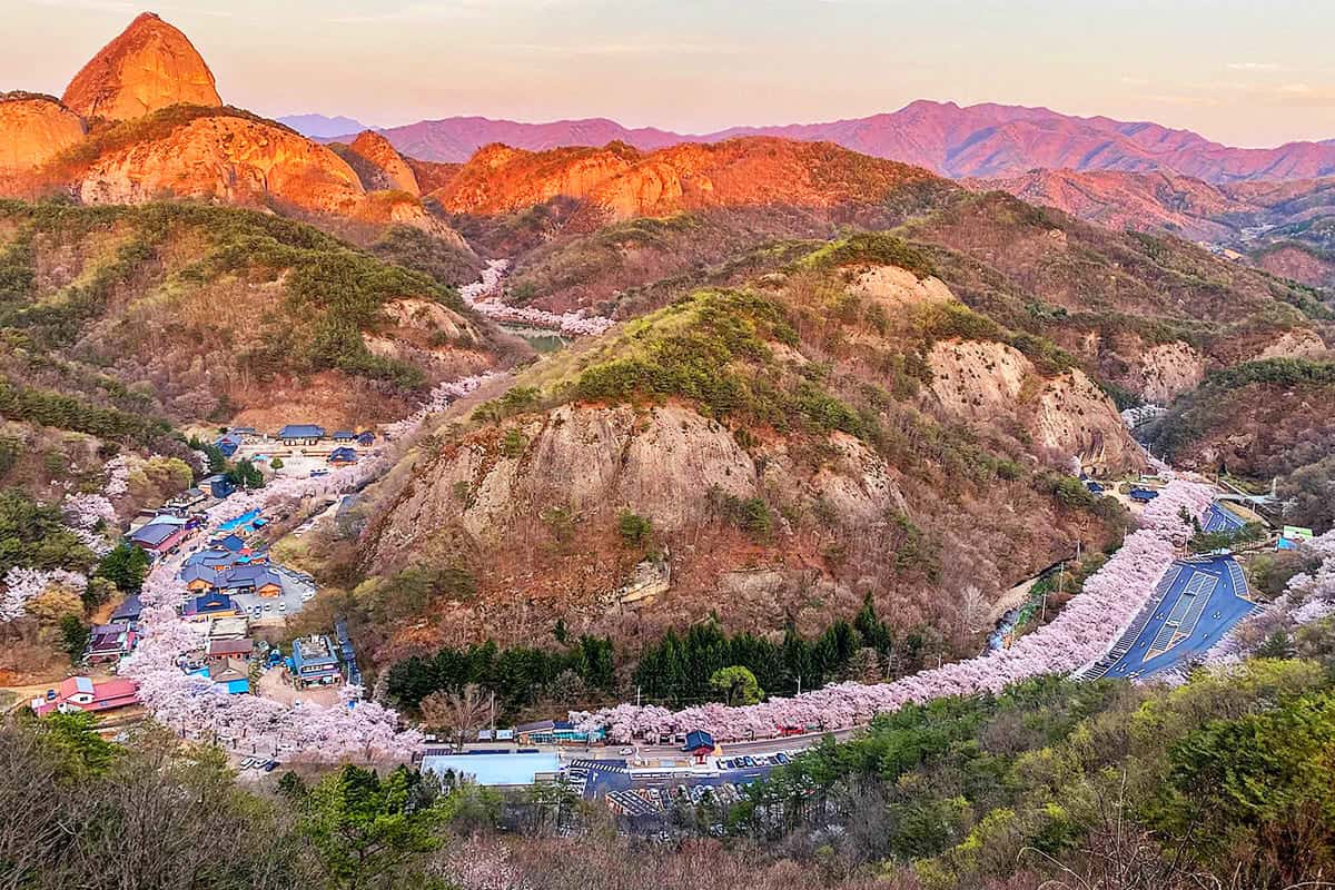 마이산 벚꽃길 항공샷
