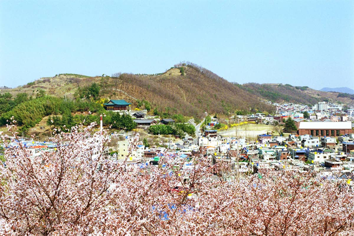 진주 비봉산 진주 비봉산