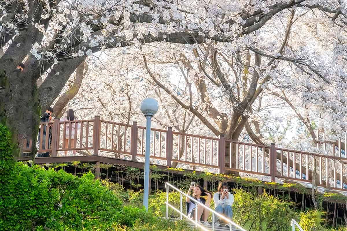 진주 연암도서관 진주 연암도서관
