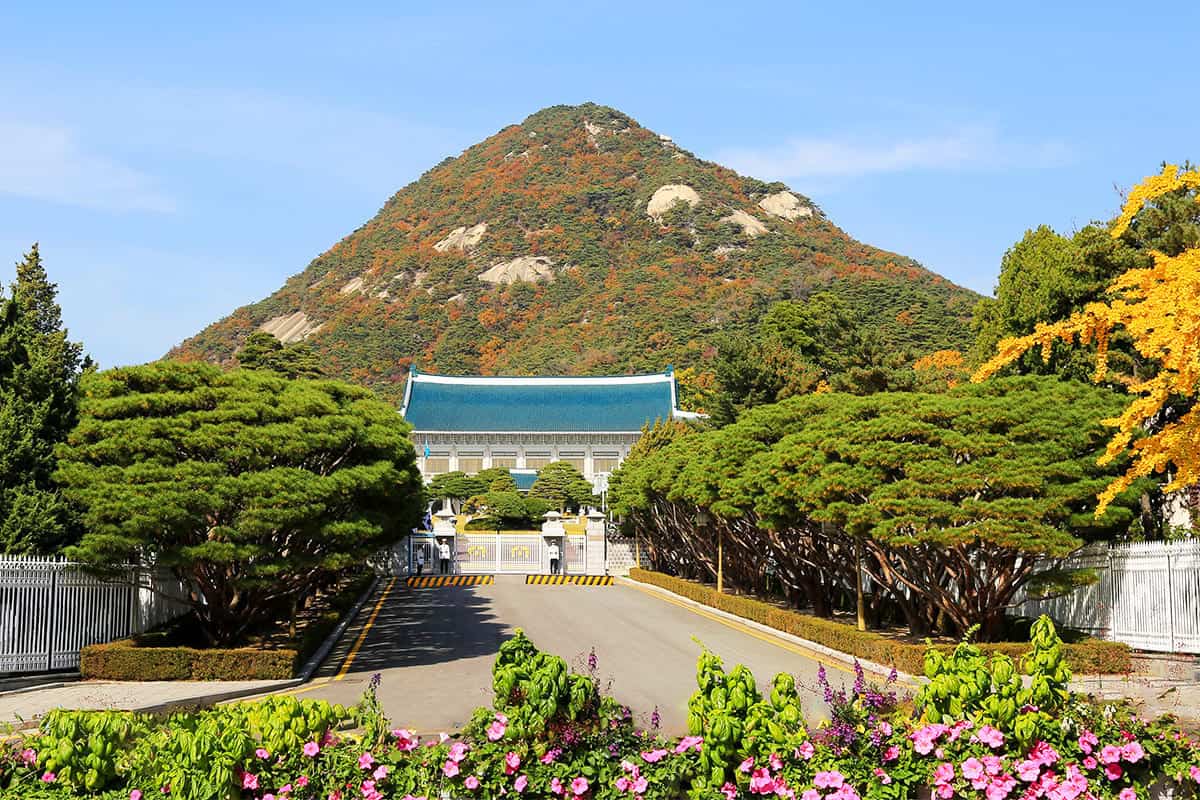 북악산 봄 북악산 봄