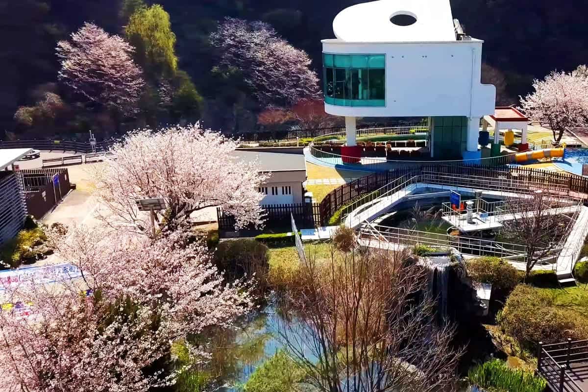 피아노 폭포 벚꽃 전경 피아노 폭포 벚꽃 전경