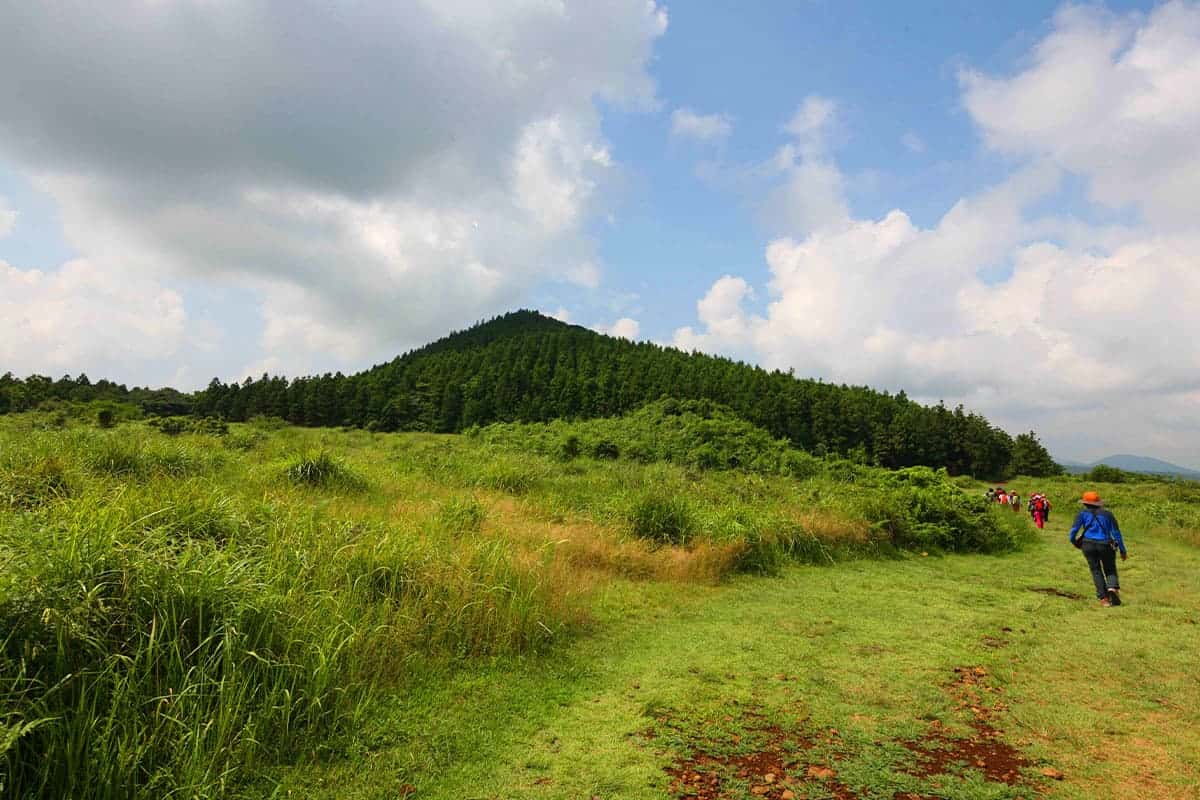 제주 거문오름 숲 트레킹 제주 거문오름 숲 트레킹