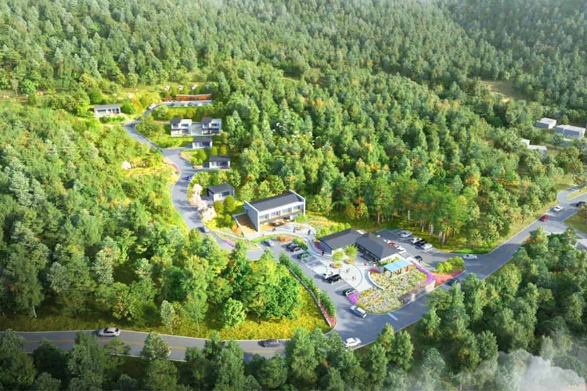 옹진군 덕적도 자연휴양림 전경