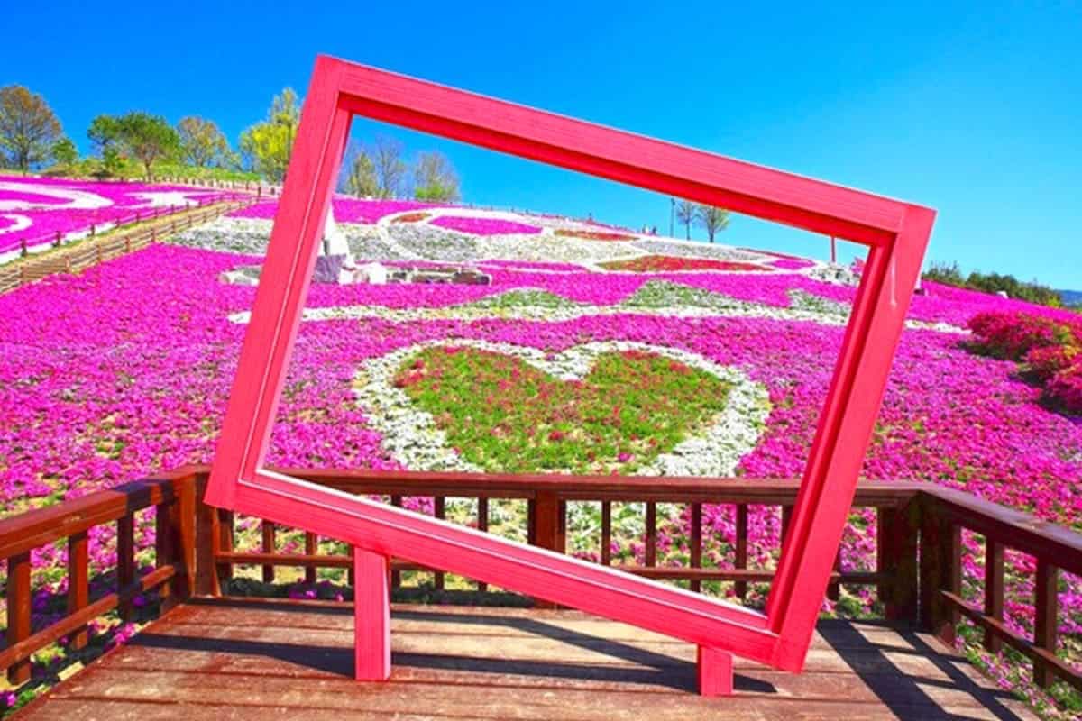 산청 생초국제조각공원 꽃잔디 축제 포토존