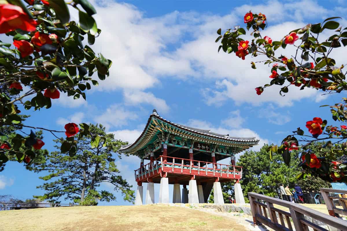 서천 동백나무숲 서천 동백나무숲