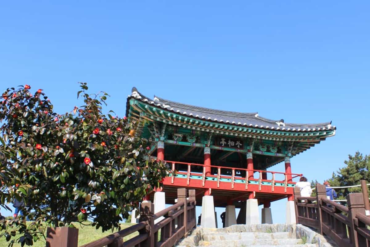서천 동백나무숲 풍경 서천 동백나무숲 풍경