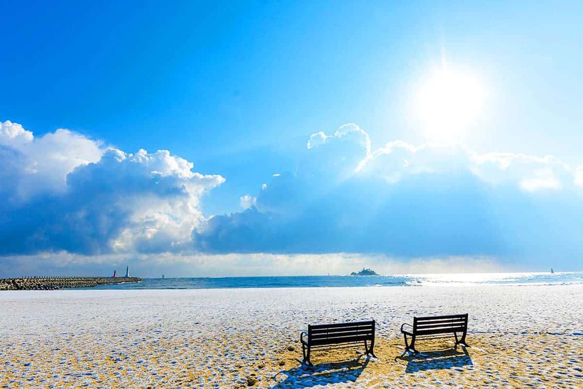 청호해변 청호해변