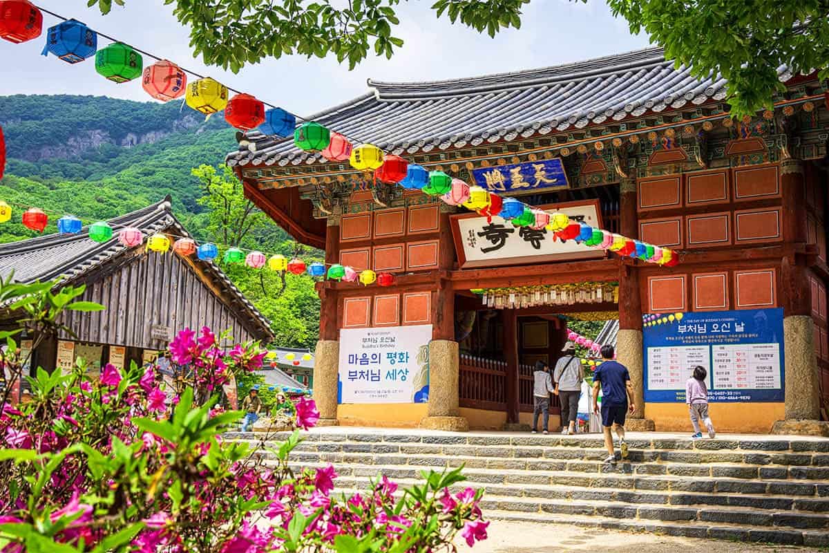 고창의 선운사 고창의 선운사