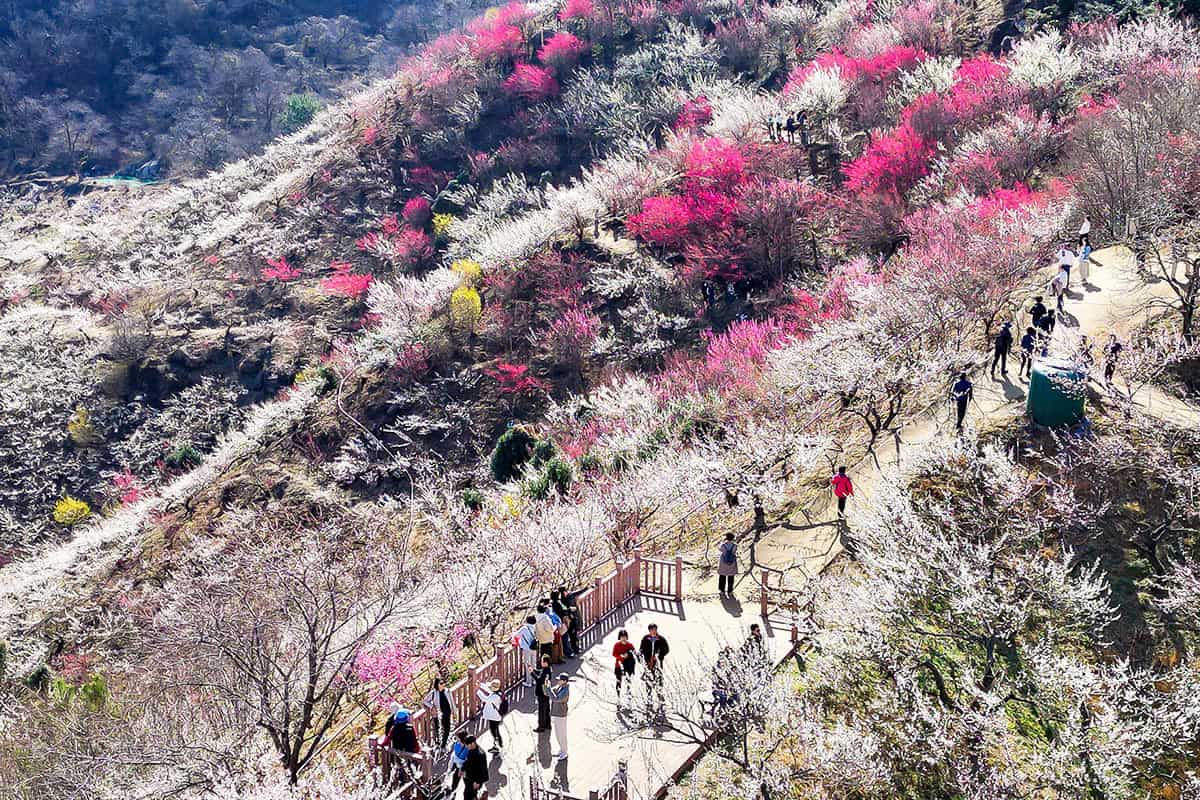 광양 섬진강 광양 섬진강