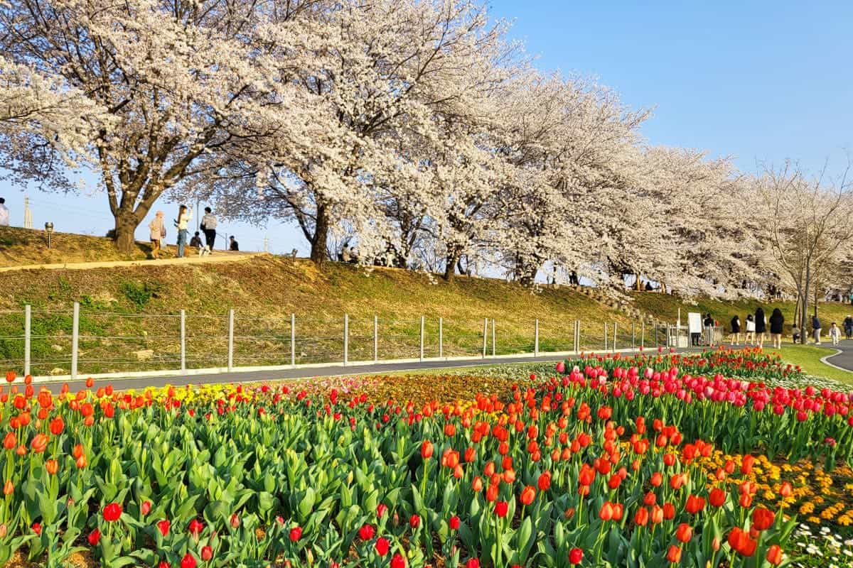 순천 동천 순천 동천