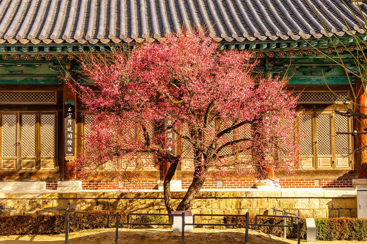 양산 통도사