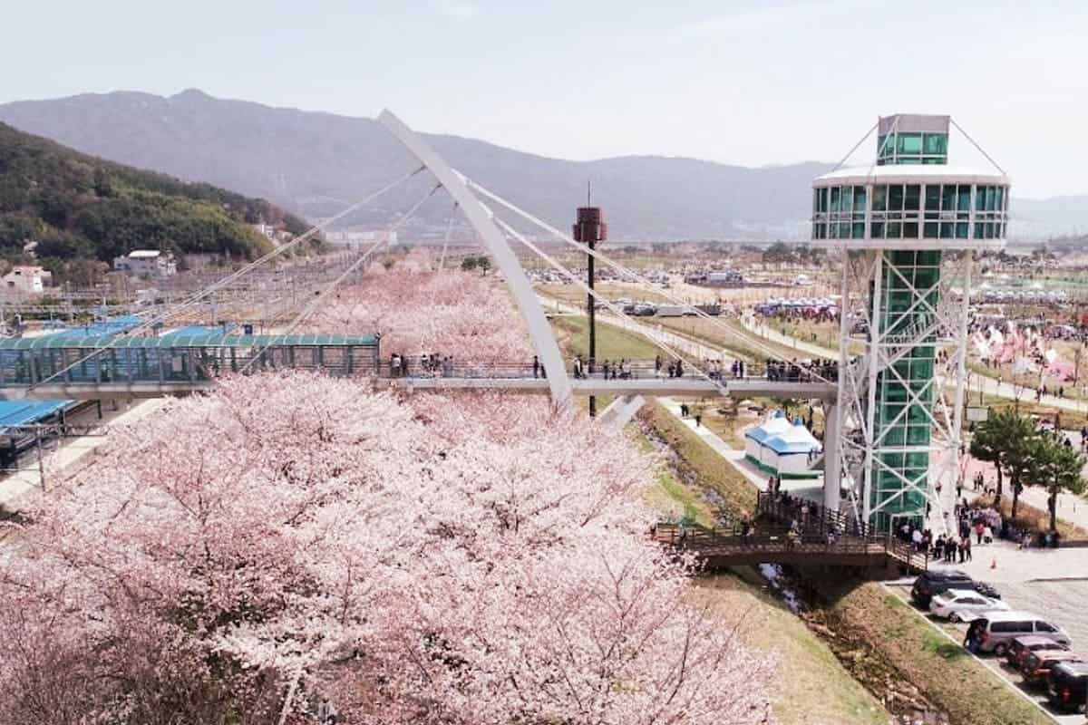 황산공원 봄 황산공원 봄