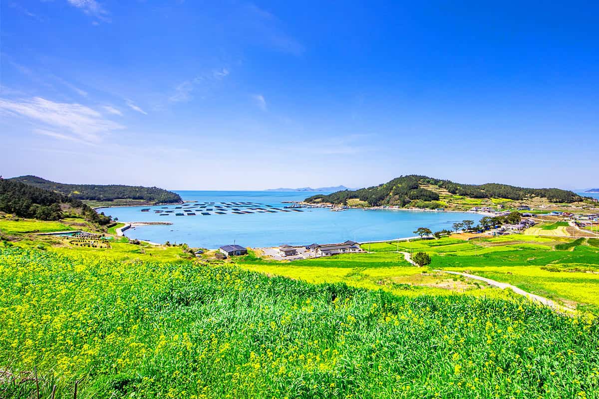 청산도 풍경 청산도 풍경