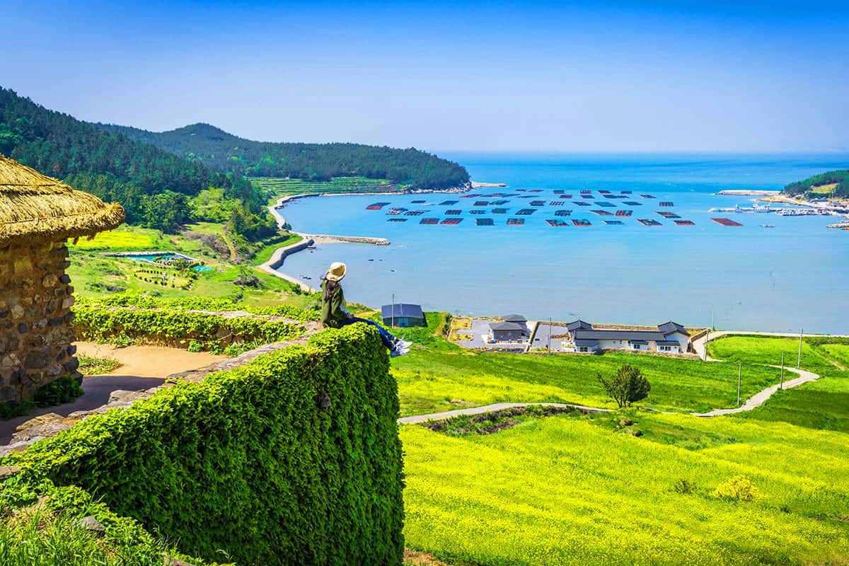 아름다운 청산도 아름다운 청산도