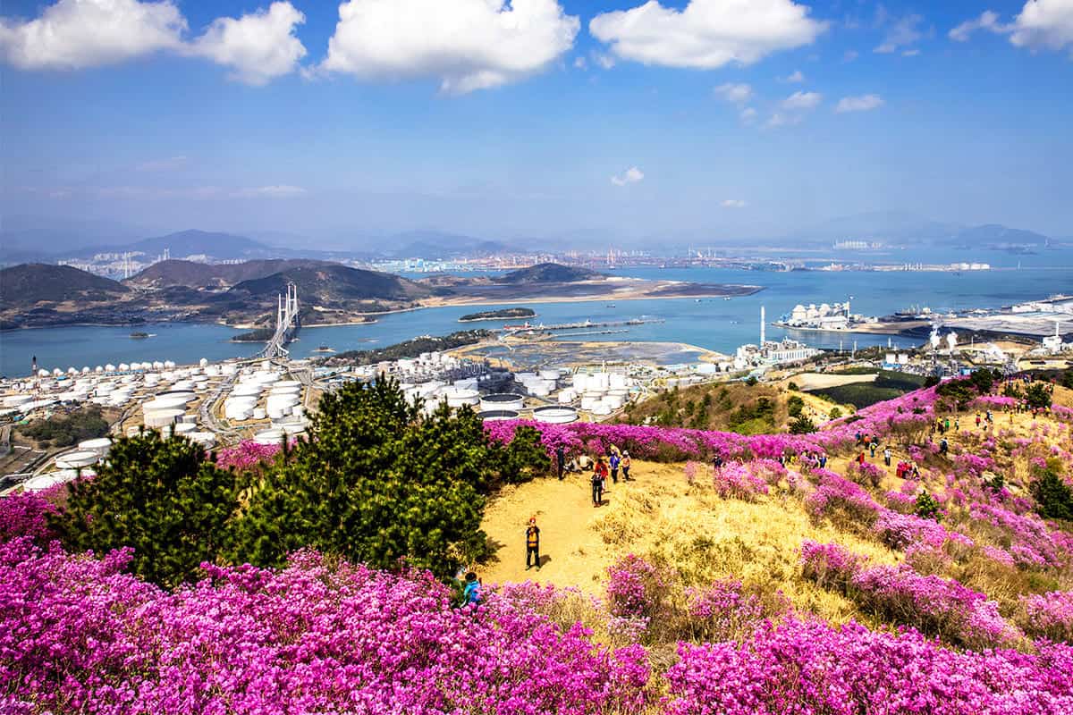 영취산 전경