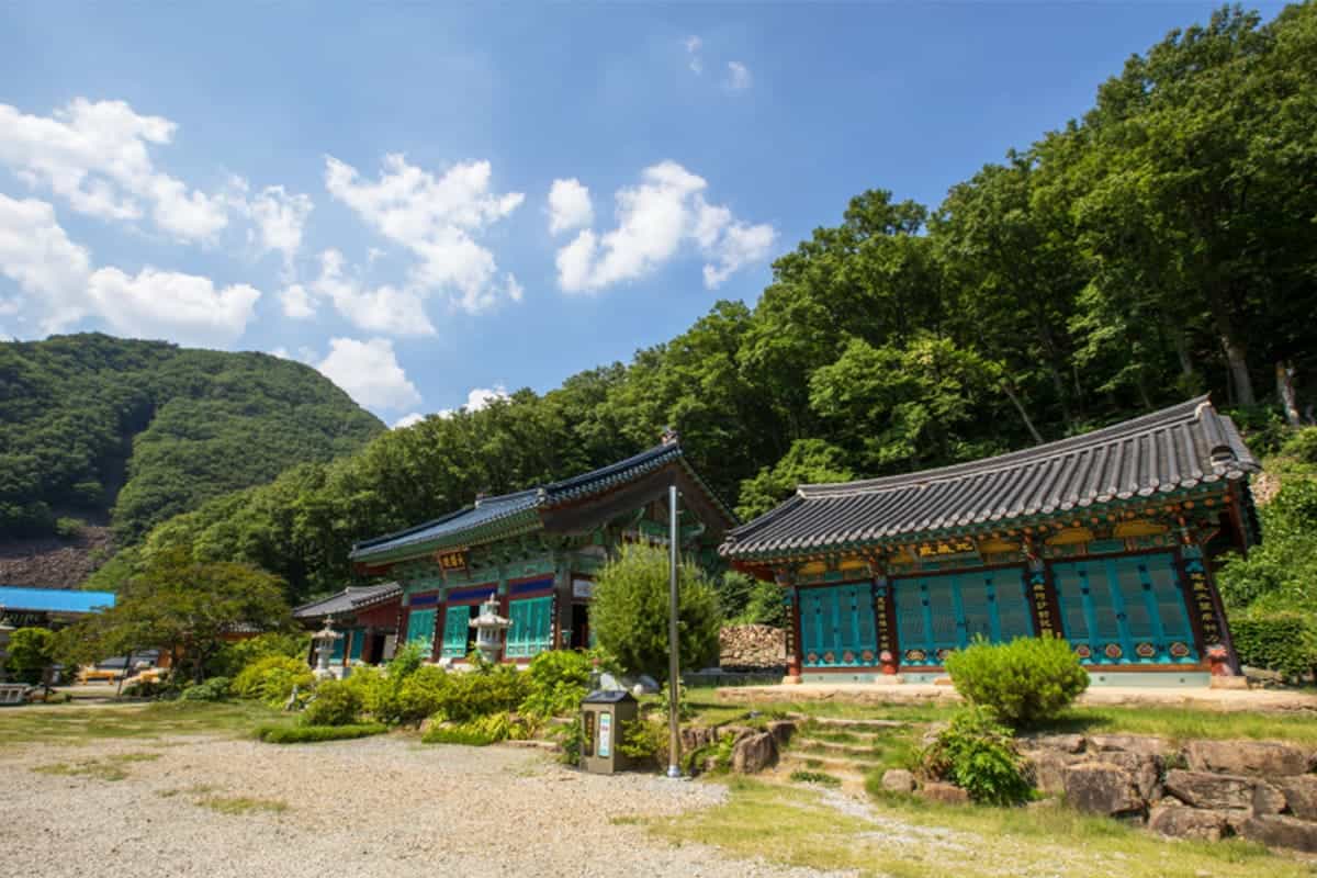 영동 반야사