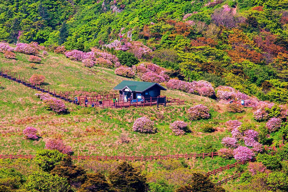 소백산 비로봉 소백산 비로봉