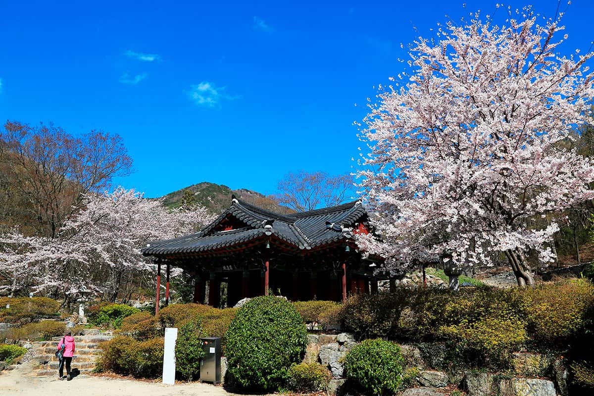 여수 흥국사 여수 흥국사